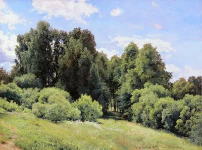 Купить картину Поляна в лесу в Москве от художника Лежников Юрий