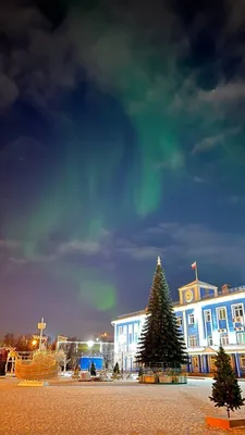 Когда полярная ночь в Териберке / Мурманске: даты 2023-2024