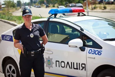 Полицейский автомобиль — Википедия