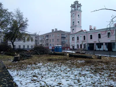 В центре Полоцка снесли половину сквера