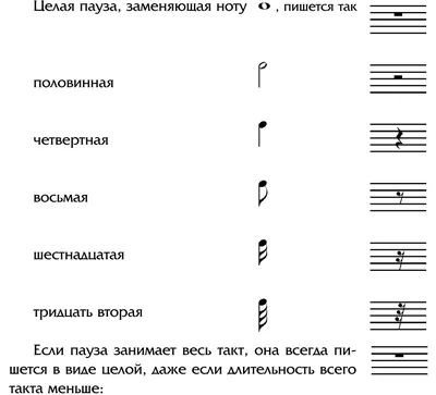 Цела и половина нота 6то | PDF