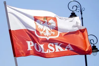 День Польского Войска: история и особенности празднования - Покупки в Польше
