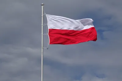 Фейк: польские солдаты и техника уже в Украине - Delfi RU