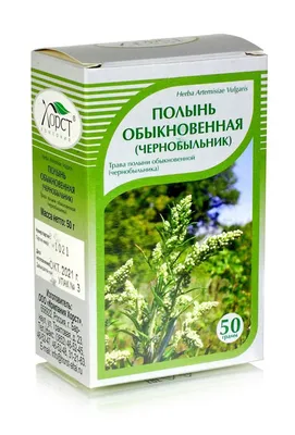 Полынь Гмелина – Artemisia gmelinii Web. ex Stechm. « Красная книга Томской  области | ОГБУ \"Облкомприрода\"