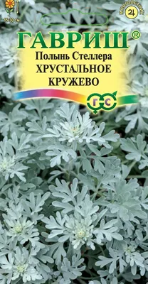 Полынь горькая (сушеная, измельченная, 50 грамм) | Магазин пчеловодства  \"Пчеловод КОМ\"