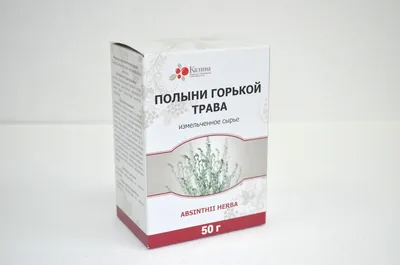 Полынь Шмидта Нана – купить саженцы в интернет-магазине Лафа с доставкой по  Москве, Московской области и России