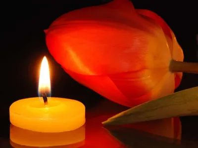 ГАЛЕРЕЯ: К Хаапсалускому детскому дому приносят поминальные свечи - Delfi  RUS