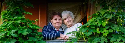 Первая помощь пожилому человеку в пансионате во Владимире | Старица