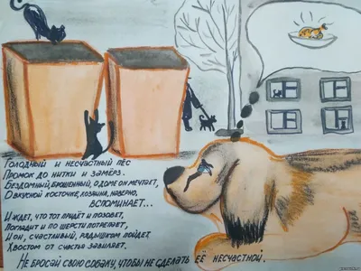 СберВместе — Рука помощи бездомным животным