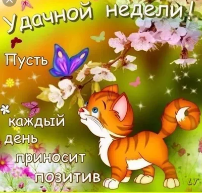 Позитив на понедельник :-) - ЯПлакалъ