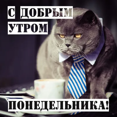 Собянин объявил понедельник нерабочим днем в Москве — РБК
