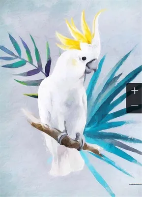 Ручной обращается милый попугай какаду на белом фоне PNG , Рисование,  зоопарк, экзотичный PNG картинки и пнг рисунок для бесплатной загрузки