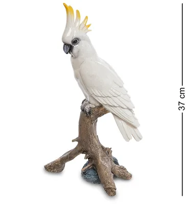 Попугай какаду стоковое фото. изображение насчитывающей ангстрома - 58648382