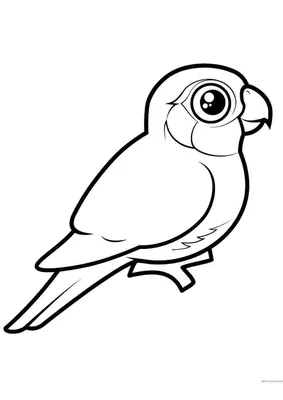 Раскраска Милый попугай - распечатать бесплатно