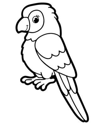 Раскраска Попугай Ара — Мир раскрасок