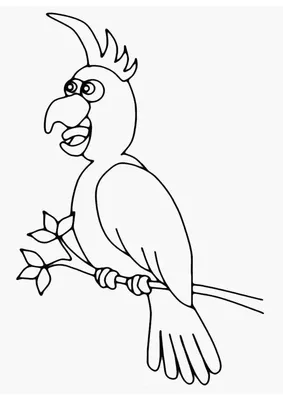 Злой попугай — раскраска для детей. Распечатать бесплатно.