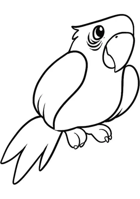 Раскраска попугай ара - 64 фото