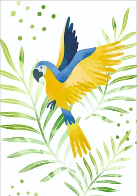 Черепашка и попугай. Раскраска - купить с доставкой по выгодным ценам в  интернет-магазине OZON (164452929)