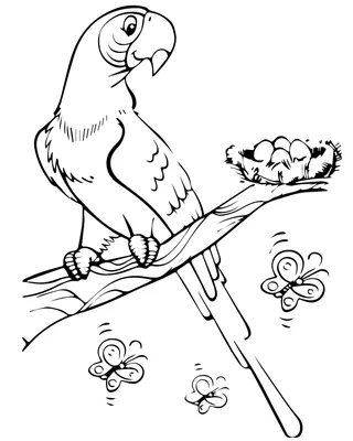 Набор для творчества «Раскраска глитерными блёстками по номерам» Попугай  купить в Чите Раскраски в интернет-магазине Чита.дети (9645533)