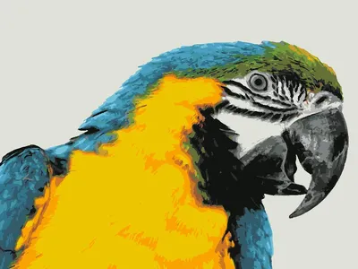 Раскраска Попугай | Раскраски из мультфильма 38 Попугаев