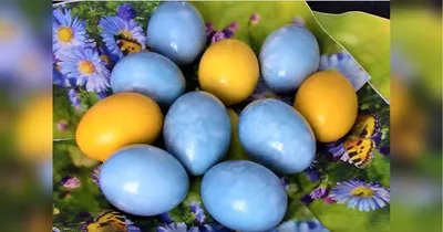 Как покрасить яйца на Пасху 2024: ТОП-7 способов с видео и фото | Меню  недели