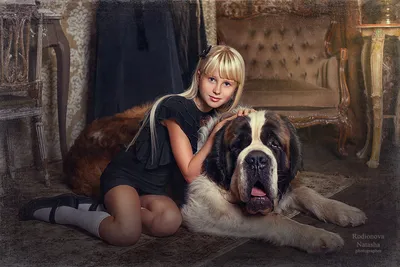 Ньюфаундленд - описание породы собак: характер, особенности поведения,  размер, отзывы и фото - Питомцы Mail.ru