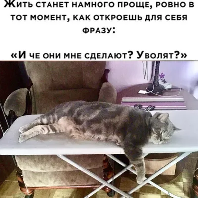 Ну чисто поржать.