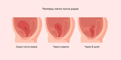 Как меняется внешность и мозг женщины после родов - 28 марта 2020 - 76.ру