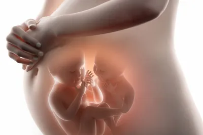 Торчит живот после родов | Пикабу