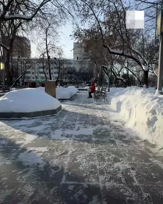 Прогноз погоды на 31 января: снег, гололедица и до -3 °С