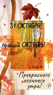 Ирина #Друзьям # #завтра последний день октября# #🍁🍂🍁🍂🍁🍂🍁🍂 # |  TikTok