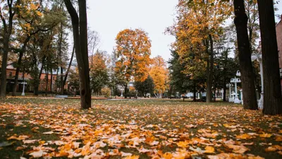 Прогноз погоды на последний день октября: преимущественно без осадков -  АЗЕРТАДЖ