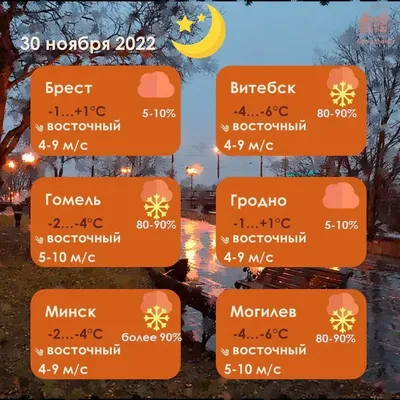 В последний день осени местами в Беларуси ожидается сильный снег | Новости  Беларуси | euroradio.fm