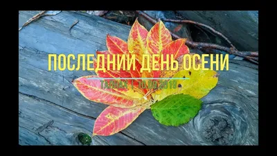 Татьяна Снежина (Tatyana Snezhina) – Последний день осени (Last day of  autumn) Lyrics | Genius Lyrics