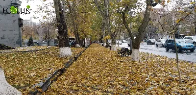 Последний день осени в Новозыбкове отметился семейными скандалами •  БрянскНОВОСТИ.RU