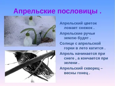 Какие есть пословицы о весне?» — Яндекс Кью