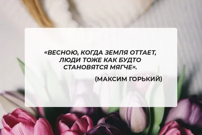 Ответы Mail.ru: Пословицы про весну на казахском языке помогите написать пословицы  про весну с переводом!!!