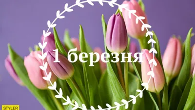 104 самых прекрасных пословицы о весне