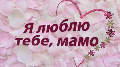 Анастасия Ракова рассказала о насыщенной программе ко Дню матери —  Школа.Москва