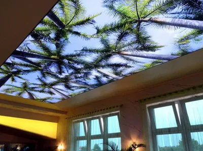 Фотопечать и 3D рисунки на натяжном потолке - Натяжные потолки в Йошкар-Оле  и РМЭ | NIMB