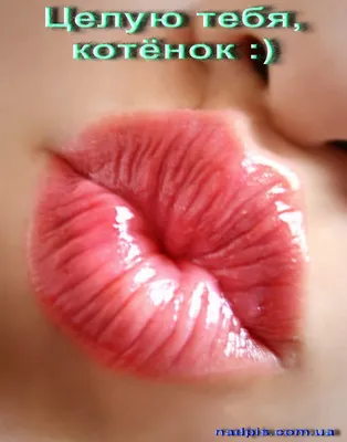 Набор шаров \"Поцелуй любимой\" купить от 4950 руб. в интернет-магазине шаров  с доставкой по СПб