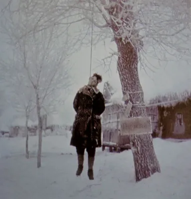 Тело советского партизана, повешенного на дереве — военное фото