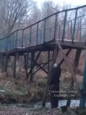 На Буковине нашли тело повешенного парня — Украина