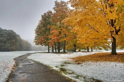 поздняя осень в парке стоковое фото. изображение насчитывающей мглисто -  144264526