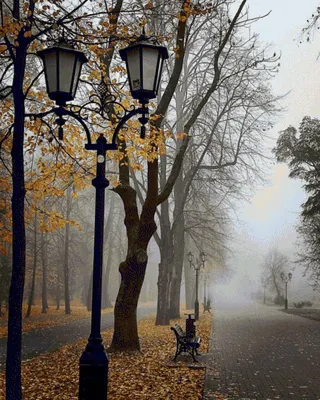 Поздняя осень в России: много красивых фото нашей Родины | Dopross.ru | Дзен