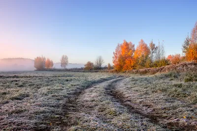 Жизнь природа поздняя осень, красиво…» — создано в Шедевруме