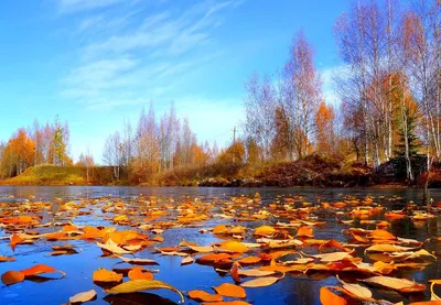 Поздняя осень природа (64 фото) - 64 фото