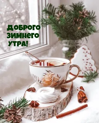 С добрым утром!#видеооткрытка #открыткасдобрымутром#открытка #рекоменд... |  TikTok