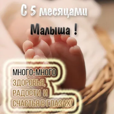 https://dycpoisk.ru/pozdravlenie-na-5-mesyacev-malchiku