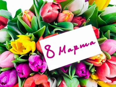 Красивые открытки для поздравления \"С 8 Марта!\" | Открытки, поздравления и  рецепты | Дзен